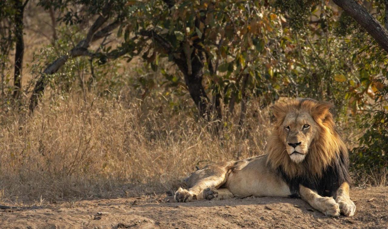 Kapama Karula Villa Kapama Game Reserve Exteriör bild