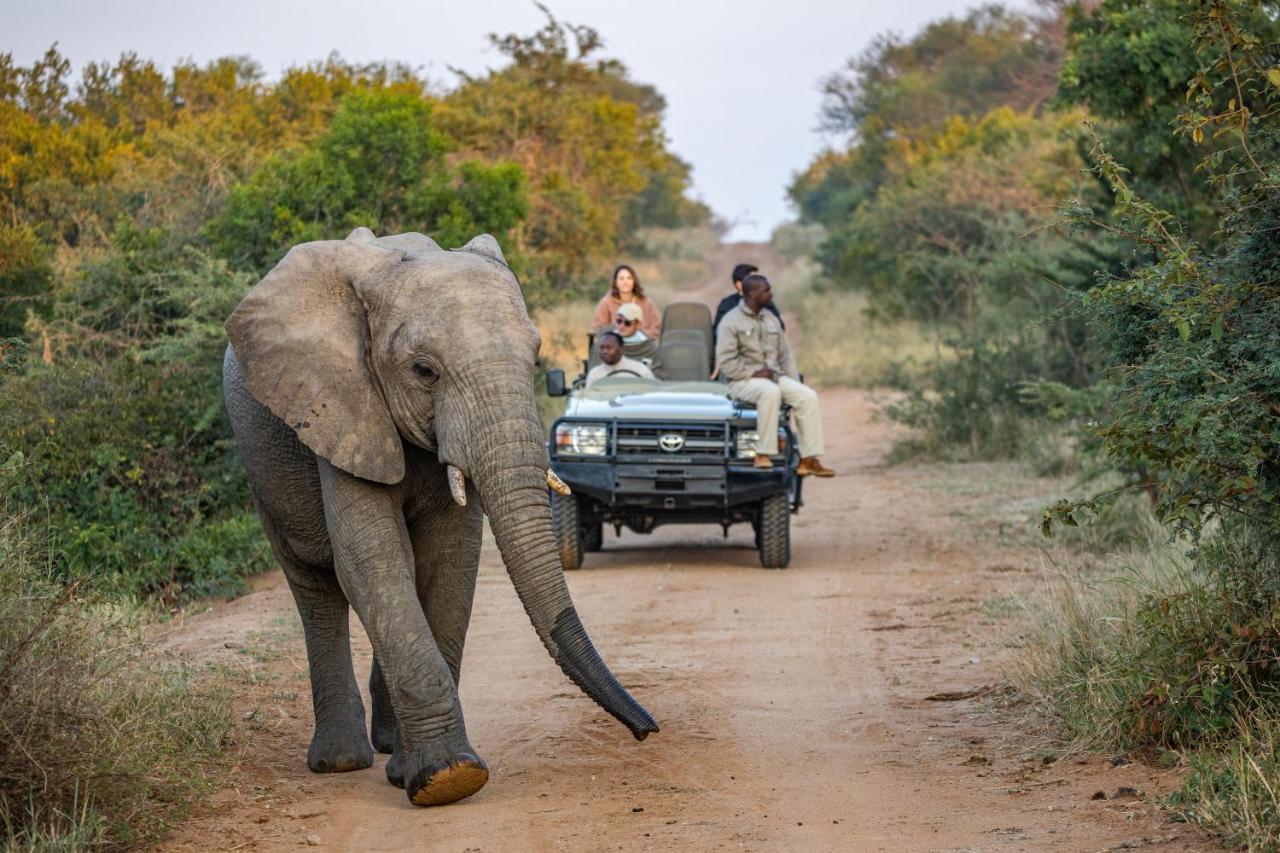 Kapama Karula Villa Kapama Game Reserve Exteriör bild